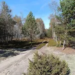 Luksustelt Jurta Na Skraju Lasu