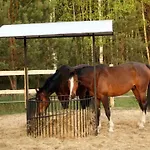 Jurta Na Skraju Lasu