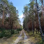 Luksustelt Jurta Na Skraju Lasu