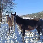 Luksustelt Jurta Na Skraju Lasu *