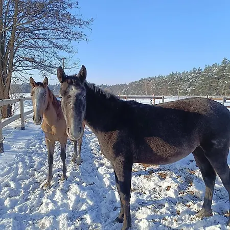 خيمة فخمة Jurta Na Skraju Lasu *
