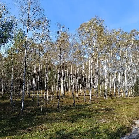 Jurta Na Skraju Lasu Luxusní stan Zawady (Lask)