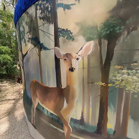 Jurta Na Skraju Lasu