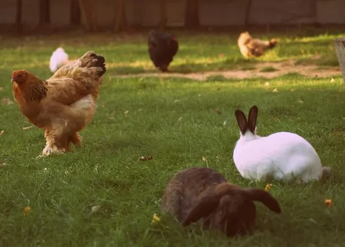 Jurta Na Skraju Lasu Luxe tent Zawady (Lask)