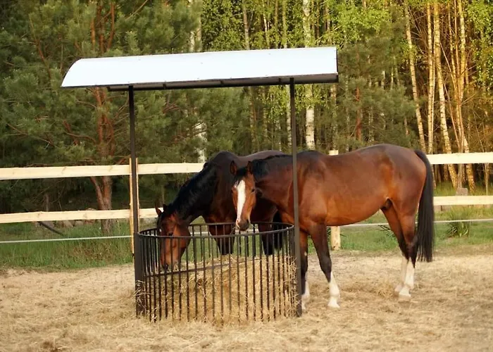 Jurta Na Skraju Lasu