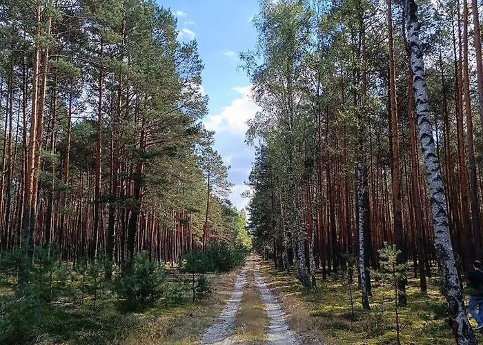 Luxe tent Jurta Na Skraju Lasu
