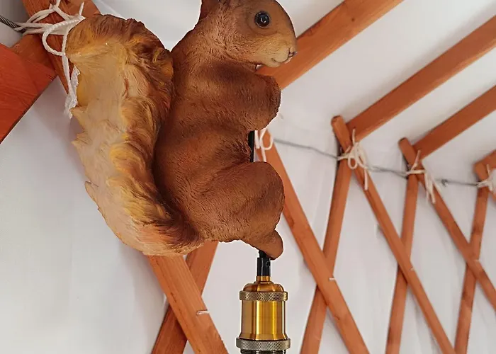 Jurta Na Skraju Lasu *