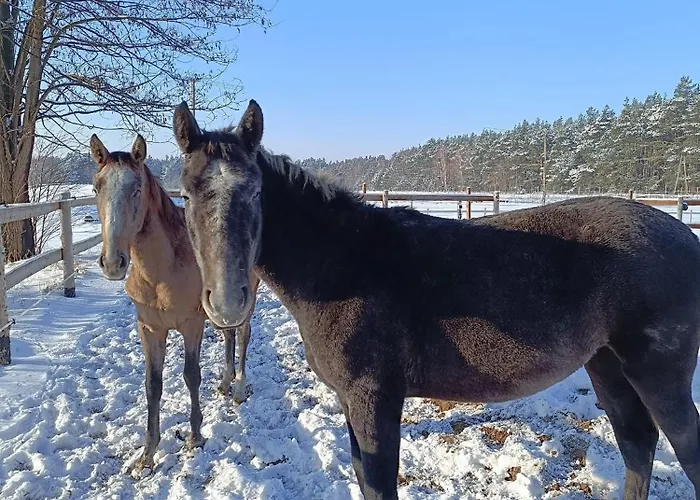 Luxusní stan Jurta Na Skraju Lasu *