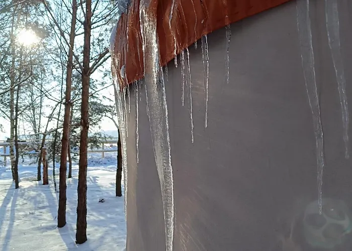 Jurta Na Skraju Lasu